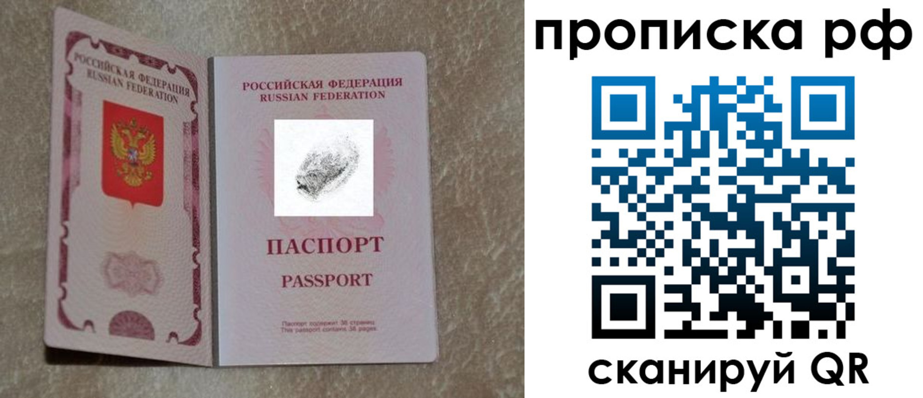 прописка поиск в Алексине
